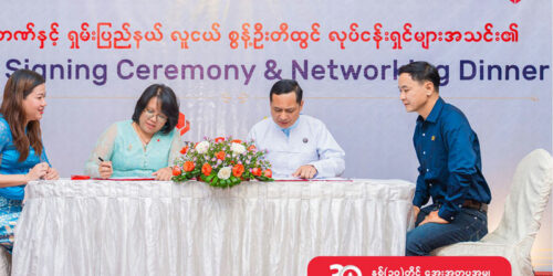 ရှမ်းပြည်နယ်လူငယ်စွန့်ဦးတီထွင်လုပ်ငန်းရှင်များအသင်း Shan State Young Entrepreneurs Association (SSYEA)